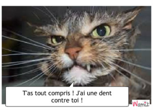 Mauritanie : Monsieur le Président de la République, j’ai une dent contre mon Ministre ! Mauritanie : Monsieur le Président de la République, j’ai une dent contre mon Ministre !