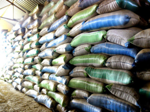 Mauritanie: Liquidation de la SONIMEX Mauritanie: Liquidation de la SONIMEX