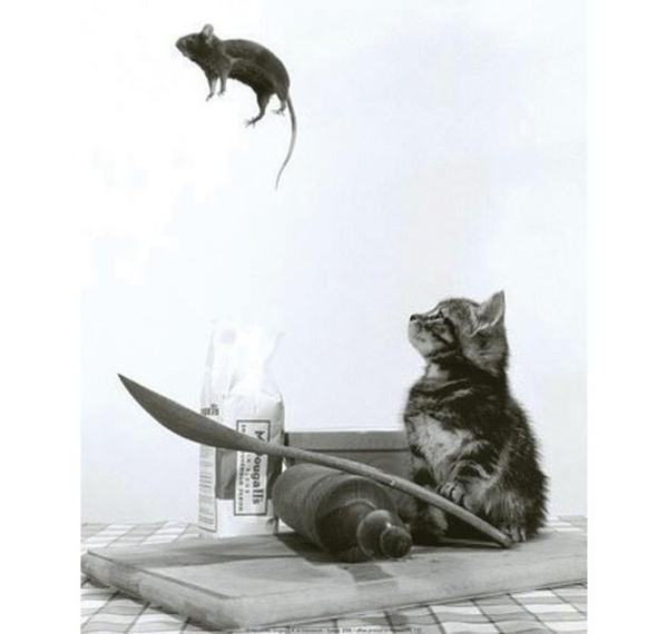 Que faire pour une sortie de crise ? Que faire pour une sortie de crise ?