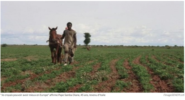 Sénégal : des migrants retournent à la terre Sénégal : des migrants retournent à la terre