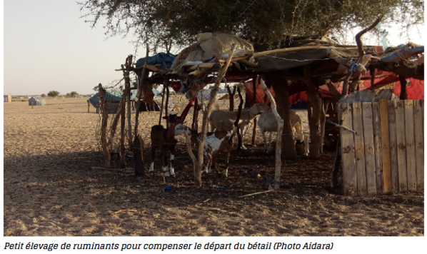 Les harratines de Keur Macène, une fierté en bandoulière entre une pauvreté endémique et des terres luxuriantes Les harratines de Keur Macène, une fierté en bandoulière entre une pauvreté endémique et des terres luxuriantes