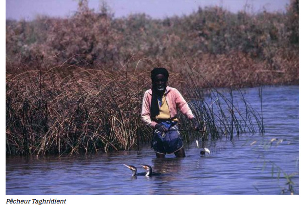 Les harratines de Keur Macène, une fierté en bandoulière entre une pauvreté endémique et des terres luxuriantes Les harratines de Keur Macène, une fierté en bandoulière entre une pauvreté endémique et des terres luxuriantes