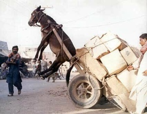Mauritanie : au 1er janvier, l’ouguiya perdra un zéro