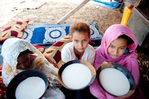 Le wali du Hodh Chargui visite la société mauritanienne des produits laitiers à Néma