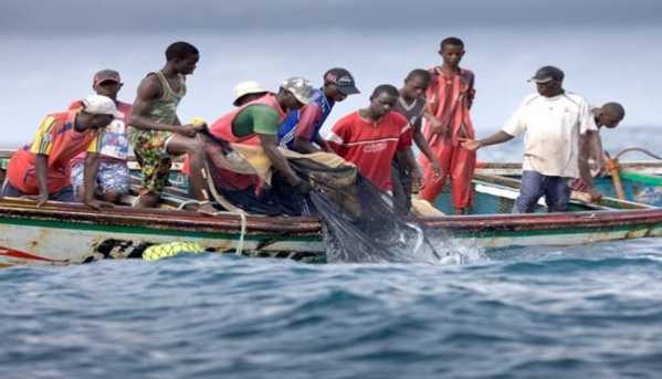 Rareté des prises, accrochage avec les gardes côtes : la pêche artisanale en eau trouble