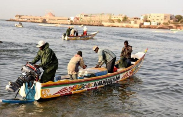 Macky en Mauritanie : les pêcheurs de Saint-Louis attendent des licences de pêche diversifiées Macky en Mauritanie : les pêcheurs de Saint-Louis attendent des licences de pêche diversifiées