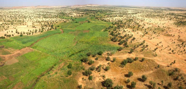 Le Directeur général de l’Agence Tadamoun inaugure une école équipée à N’Kheila au Guidimagha Le Directeur général de l’Agence Tadamoun inaugure une école équipée à N’Kheila au Guidimagha