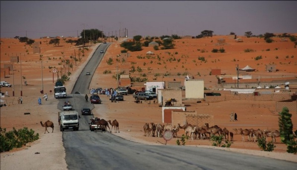 Liberté de circulation : L’AMDH publie le rapport d’observation sur l’axe Rosso-Nouakchott