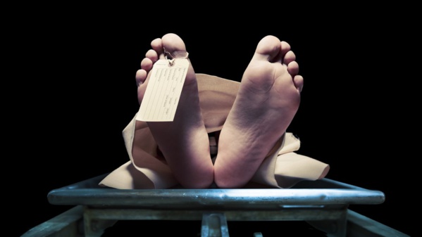 Faits divers… Faits divers… Faits divers… Faits divers… Faits divers… Faits divers…