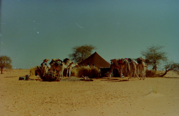 Le wali de l’Adrar s’enquiert de l’action d’une caravane médicale au centre hospitalier d’Atar Le wali de l’Adrar s’enquiert de l’action d’une caravane médicale au centre hospitalier d’Atar
