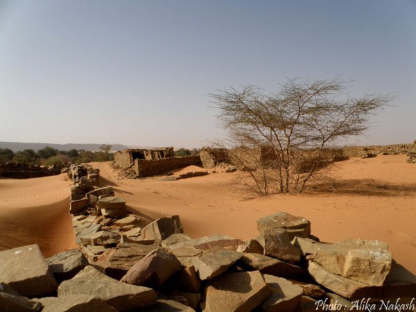 Tidjikja : protestations populaires pour exiger de l'eau potable Tidjikja : protestations populaires pour exiger de l'eau potable