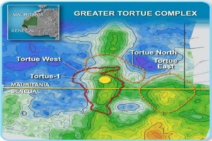 SÉNÉGAL / MAURITANIE : BP choisit McDermott et BHGE pour les travaux FEED du champ Tortue / Ahmeyim SÉNÉGAL / MAURITANIE : BP choisit McDermott et BHGE pour les travaux FEED du champ Tortue / Ahmeyim