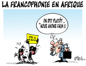 Scandale : banques et institutions de la république financent la francophonie