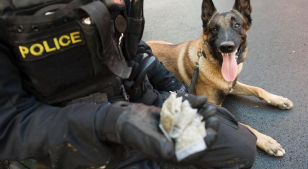 Rosso : Un affrontement entre des policiers et une bande de présumés trafiquants de drogue Rosso : Un affrontement entre des policiers et une bande de présumés trafiquants de drogue