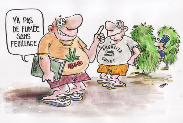 Aioun : lancement d'une campagne de sensibilisation contre les drogues et les substances psychotropes Aioun : lancement d'une campagne de sensibilisation contre les drogues et les substances psychotropes