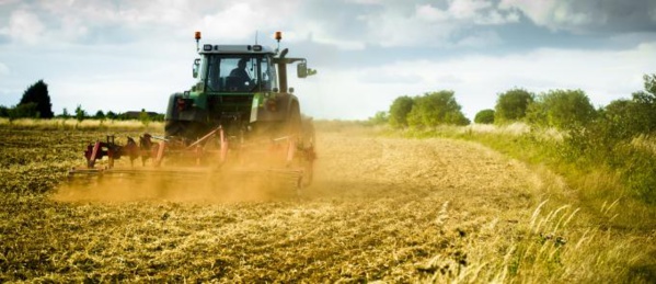 Forum régional de mise en œuvre des projets appuyés par le FIDA en Mauritanie
