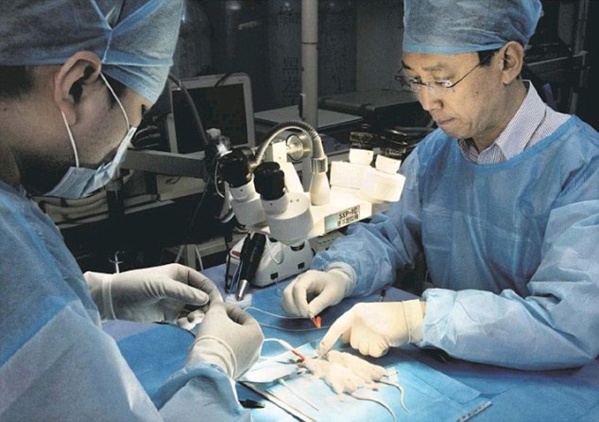 La Chine a envoyé en 50 ans 32 équipes médicales en Mauritanie (ministre) La Chine a envoyé en 50 ans 32 équipes médicales en Mauritanie (ministre)