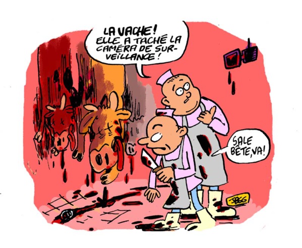 Commune de Zoueirate: Distribution de parcelles au marché de bétail Commune de Zoueirate: Distribution de parcelles au marché de bétail