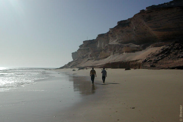 Cedeao – Mauritanie : 210 millions de dollars de la Banque Mondiale pour protéger le littoral
