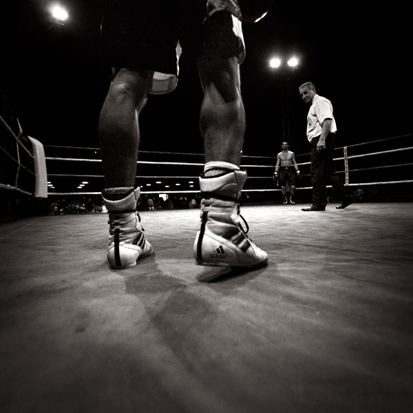 Nouakchott accueille le championnat du monde de boxe arabe