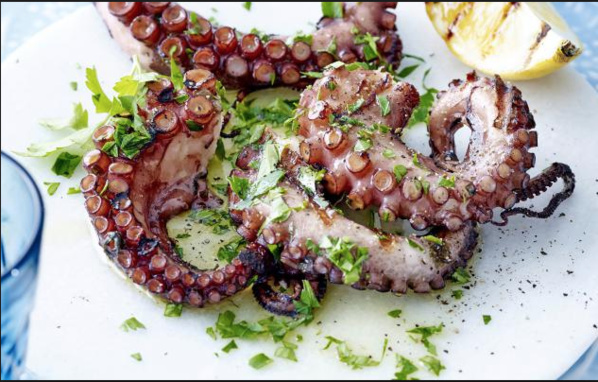 Le poulpe au centre de la politique des pêches en Mauritanie (ministre) Le poulpe au centre de la politique des pêches en Mauritanie (ministre)