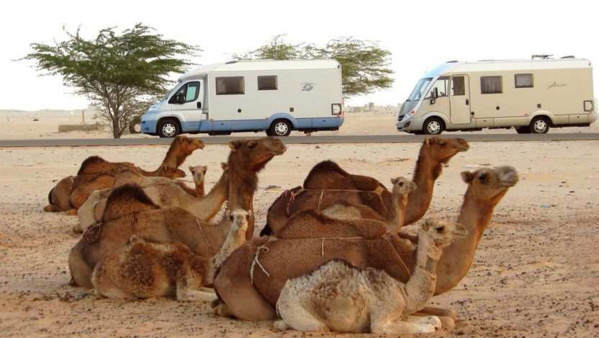 Aménagement urbain : L’ATTM fera-t-elle mieux qu’ENER ? Aménagement urbain : L’ATTM fera-t-elle mieux qu’ENER ?