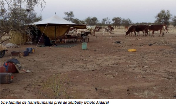 De la crise alimentaire en Mauritanie au crime écologique