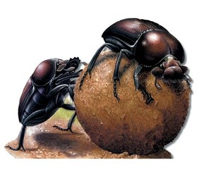 Mensonge : la Mauritanie n'a jamais été félicitée par le Comité pour l'élimination de la discrimination raciale à Genève… Mensonge : la Mauritanie n'a jamais été félicitée par le Comité pour l'élimination de la discrimination raciale à Genève…