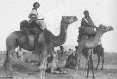 Ahmed «rajel» … et l'humilité et le sens d'écoute chez Cheikh Ould Mouknass. Ahmed «rajel» … et l'humilité et le sens d'écoute chez Cheikh Ould Mouknass.