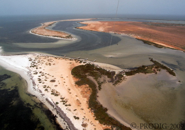 Le Banc d’Arguin se dote de son Festival International annuel Le Banc d’Arguin se dote de son Festival International annuel