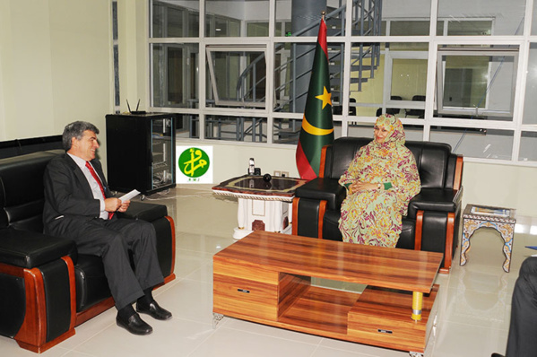 Examen des perspectives de partenariat RIM-UE dans les domaines du commerce, de l’industrie et du tourisme Examen des perspectives de partenariat RIM-UE dans les domaines du commerce, de l’industrie et du tourisme