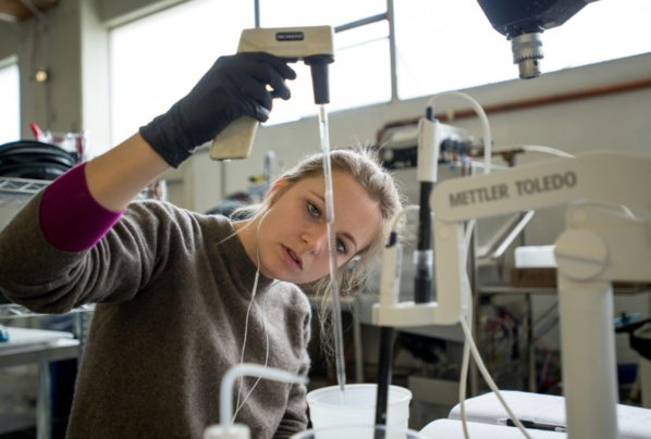 Ces start-up qui veulent révolutionner la viande Ces start-up qui veulent révolutionner la viande
