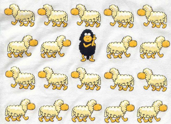 Implantation UPR à M’Bagne : Majorité écrasante pour Bocar Soule Implantation UPR à M’Bagne : Majorité écrasante pour Bocar Soule