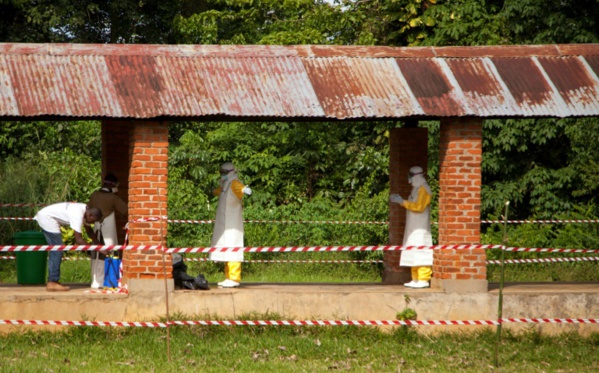 L'OMS va décider si Ebola en RDC est une urgence internationale