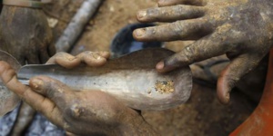 De l’or à Chaami ! De l’or à Chaami !