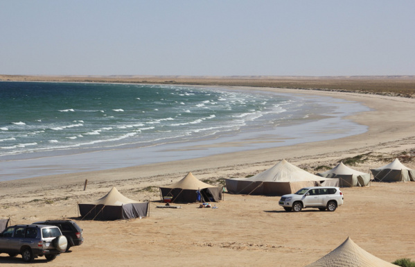Festival international pour valoriser le banc d'Arguin : rappel et propositions Festival international pour valoriser le banc d'Arguin : rappel et propositions