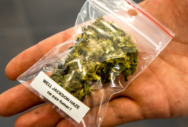 e Canada fixe au 17 octobre la légalisation du cannabis
