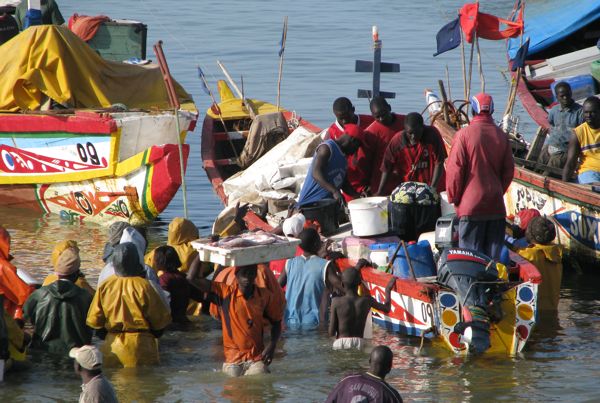 L’accord de pêche entre Dakar et Nouakchott à sa phase finale