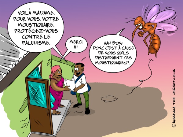 Opérations de distribution des moustiquaires imprégnées Opérations de distribution des moustiquaires imprégnées