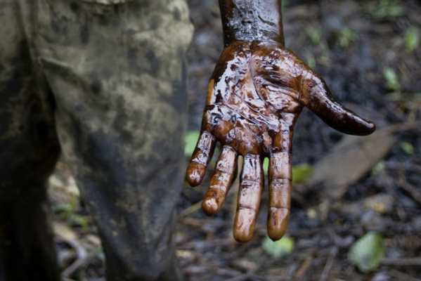 La RDC officialise son projet d'exploiter du pétrole dans des parcs naturels