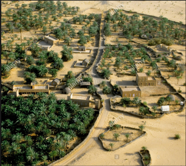 Atar / candidatures UPR : la contre-attaque de l"intelligentsia Atar / candidatures UPR : la contre-attaque de l"intelligentsia