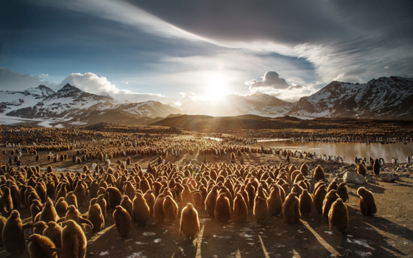 Organisation d'un Forum sur la migration et le développement en Mauritanie Organisation d'un Forum sur la migration et le développement en Mauritanie