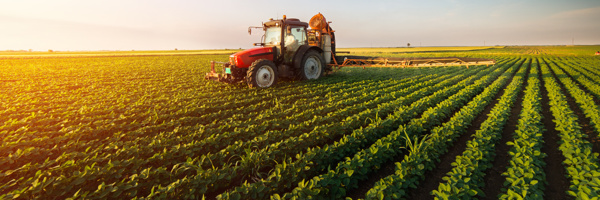 Campagne agricole pour la saison 2018 : Objectifs atteints et d'autres en attente