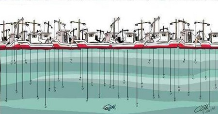 Pêche-Diminution de stocks: Les professionnels tirent la sonnette d'alarme Pêche-Diminution de stocks: Les professionnels tirent la sonnette d'alarme