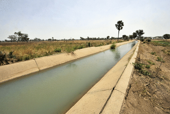 Boghé: Ouverture d'un atelier de lancement officiel du projet régional d'appui à l'initiative d'irrigation au Sahel