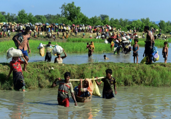 Birmanie: "préparation systématique" au "génocide" rohingya, selon une ONG
