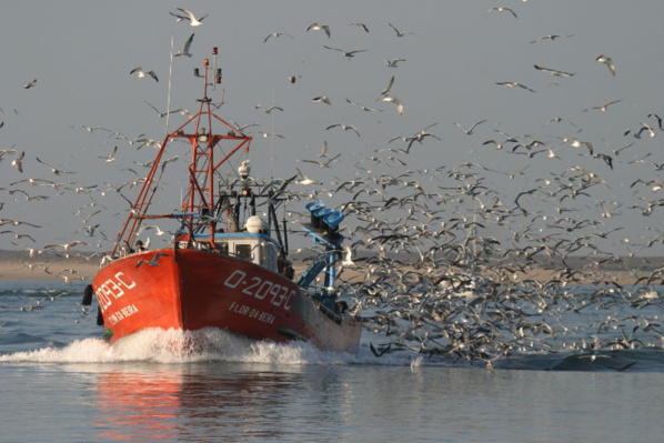 Le ministre des pêches se rend en Sierra Léone Le ministre des pêches se rend en Sierra Léone