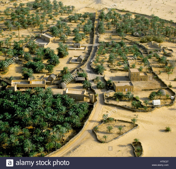 Le secrétaire général du ministre de la santé s’enquiert de l’état d’avancement des travaux de construction d’un centre hospitalier à Atar Le secrétaire général du ministre de la santé s’enquiert de l’état d’avancement des travaux de construction d’un centre hospitalier à Atar