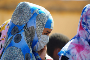 Trarza : Lancement de la deuxième édition du festival des arts et de la culture Trarza : Lancement de la deuxième édition du festival des arts et de la culture