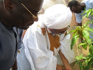 Rosso/Environnement : La mairie plante plus de 400 arbres Rosso/Environnement : La mairie plante plus de 400 arbres